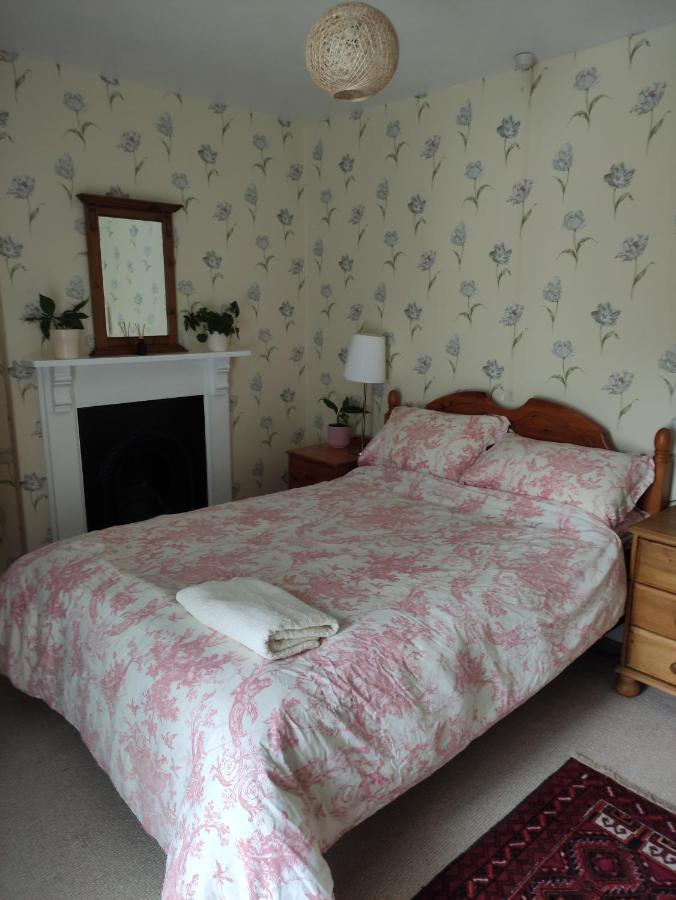 Adail Cottage Aberystwyth Dış mekan fotoğraf