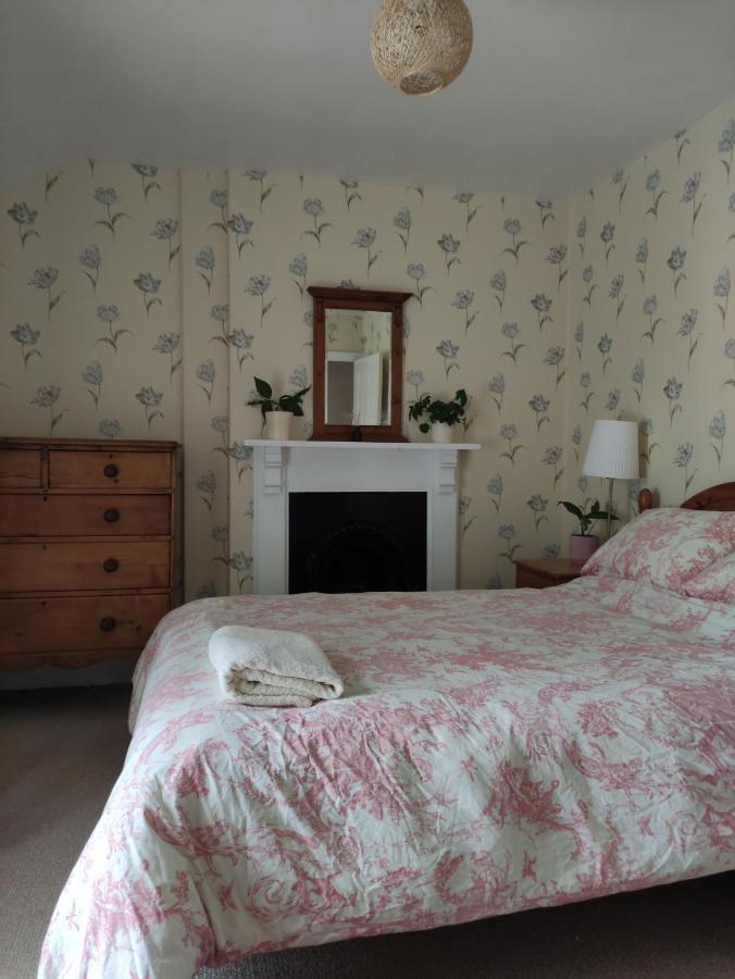 Adail Cottage Aberystwyth Dış mekan fotoğraf