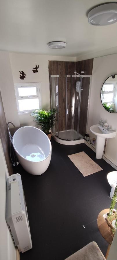 Adail Cottage Aberystwyth Dış mekan fotoğraf