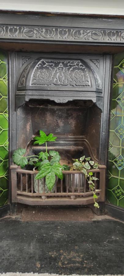 Adail Cottage Aberystwyth Dış mekan fotoğraf